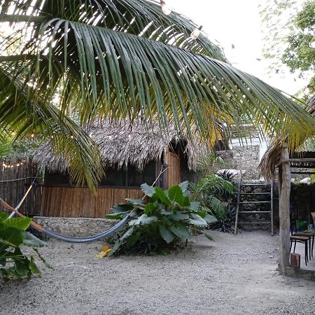 Muelle36 Hostel Bacalar Extérieur photo