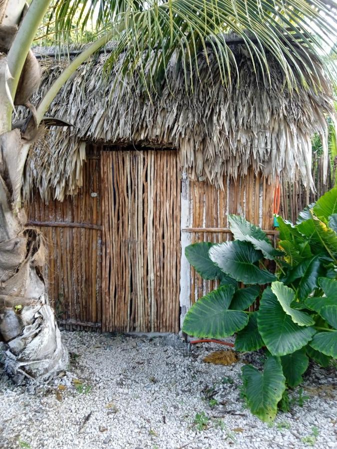 Muelle36 Hostel Bacalar Extérieur photo