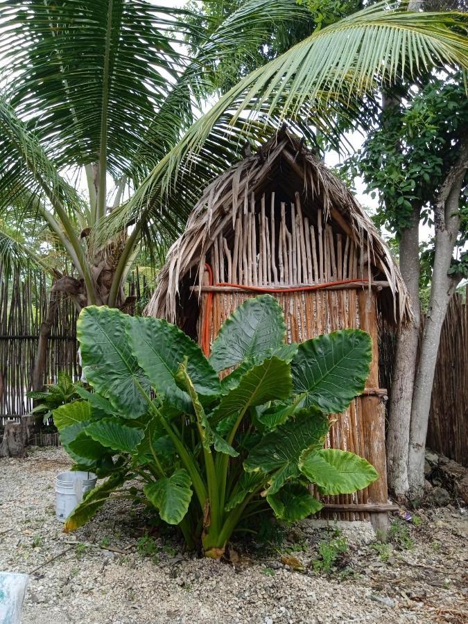 Muelle36 Hostel Bacalar Extérieur photo