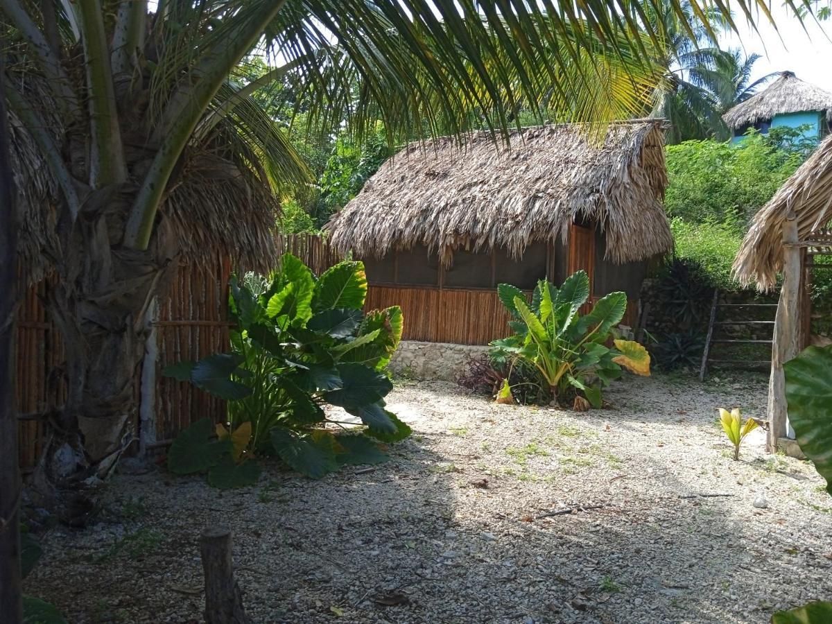 Muelle36 Hostel Bacalar Extérieur photo