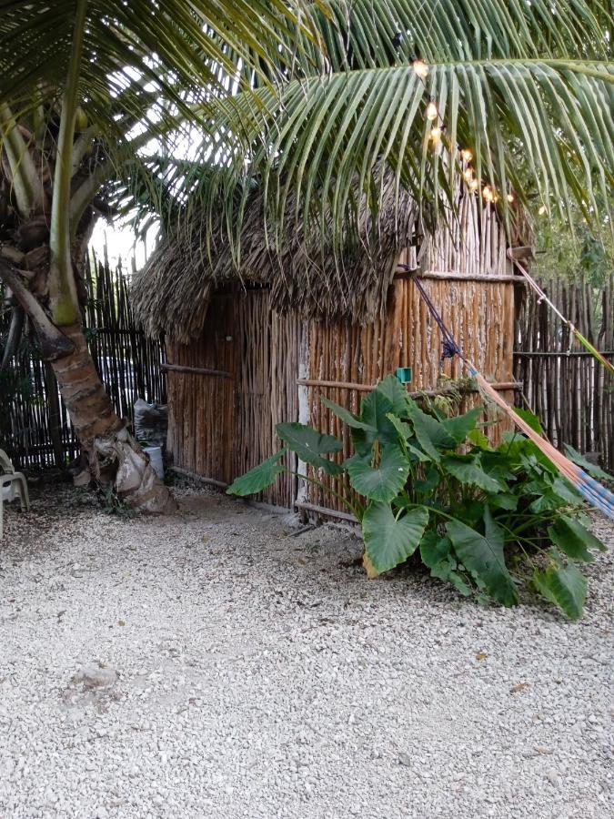 Muelle36 Hostel Bacalar Extérieur photo