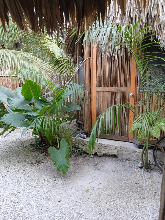 Muelle36 Hostel Bacalar Extérieur photo