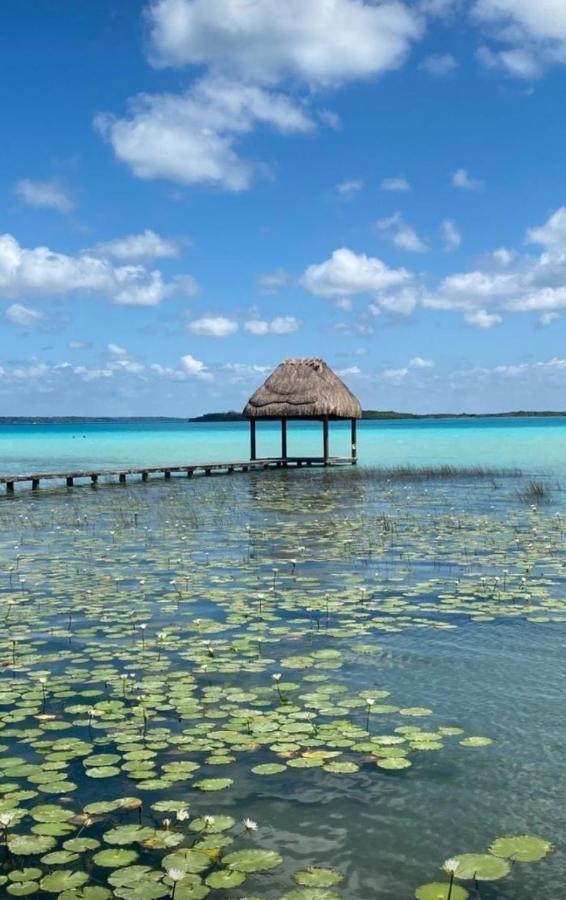 Muelle36 Hostel Bacalar Extérieur photo